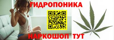 твердый Будённовск