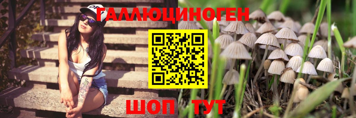 Галлюциногенные грибы мухоморы  Вход с VPN  хочу   Миасс 